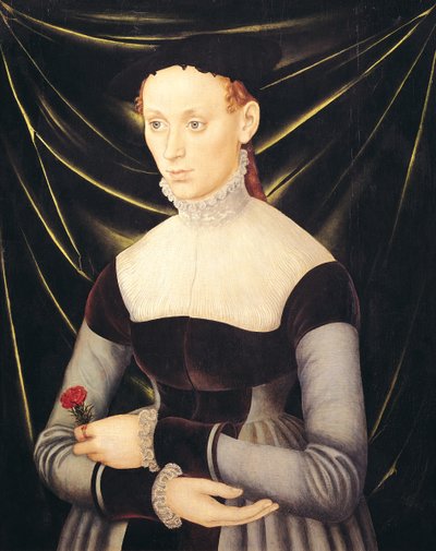 Frau mit Nelke von Lucas Cranach the Elder